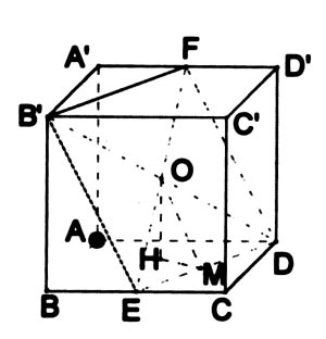 �߿���ѧ��������ռ�ͼ���еĽ�(��ͼ)