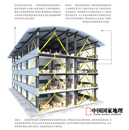 ״Ԫ��������ʮ��רҵ֮�ˣ���ľ����רҵ(ͼ)