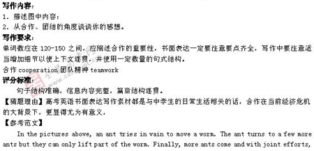 �α�棺Ӣ��(ʮ��)