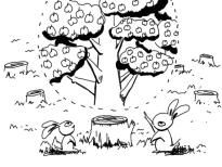 �����轲�ǹ�ȥ������