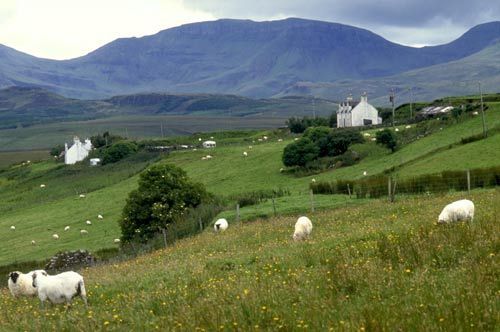 �������ϵ�����ʱ��